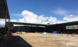 Quang cảnh bên trong Công ty Đồng An Viên 