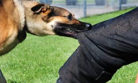 Vợ ông H cũng bị thương vùng mặt 