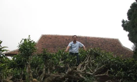 Anh Phạm Vũ Khánh, người sáng lập thương hiệu trà Shanam