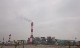 Sau sự cố Formosa gây cá chết ở 4 tỉnh miền Trung năm 2016, vai trò của báo cáo đánh giá tác động môi trường gây tranh cãi nhiều 