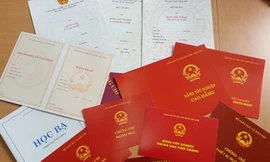 Xử lý hiệu trưởng sử dụng bằng giả