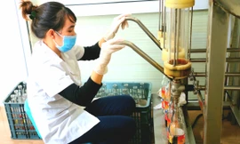 Sau khi chưng cất ít nhất 12 tháng, nước mắm sẽ được qua các công đoạn lọc thô, lọc tinh rồi mới đóng chai Ảnh: Ngọc Mai 