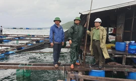 Lực lượng chức năng tỉnh Khánh Hoà xuống tận lồng bè nuôi hải sản vận động người dân lên bờ tránh bão Ảnh: Công Hoan 