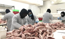 Thịt lợn qua nhiều khâu trung gian khiến người mua chịu giá cao Ảnh: Nguyễn Bằng 