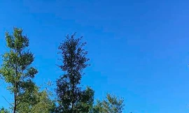 Làm gì sau khi trượt đại học?