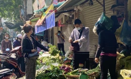 Rau xanh giá rẻ sau tết, đắt khách ngày đầu năm - Ảnh: Việt Linh