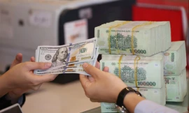 Nhiều chuyên gia dự báo, tỷ giá nửa cuối năm 2020 có thể giảm tiếp 