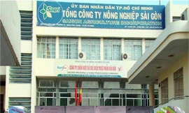 Liên quan sai phạm của Sagri, giám đốc và kế toán trưởng của Cty Lữ hành Hòa Bình Quốc tế và Cty du lịch Thanh niên xung phong bị bắt