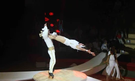 Một tiết mục dự thi Cuộc thi tài năng diễn viên xiếc toàn quốc 2018 