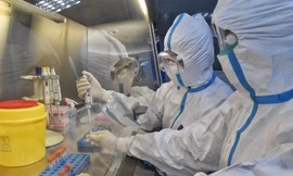 Hà Nội mỗi ngày thực hiện 2.000 mẫu xét nghiệm