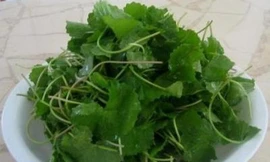 Nhiều rau dại quý như thuốc