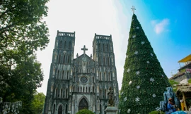 Mùa Giáng sinh về trên đường phố Hà Nội