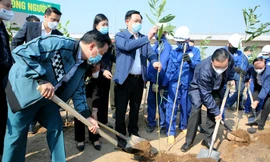 Hà Nội cùng Bộ TN&MT hưởng ứng chương trình trồng 1 tỷ cây xanh