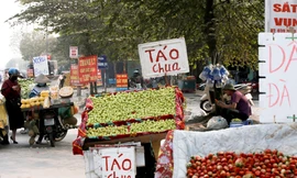 Hoa quả giá rẻ không rõ nguồn gốc bày bán ngập phố Hà Nội