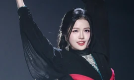 Suni Hạ Linh có đang sai lầm?