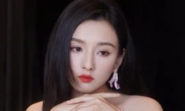 Bất ngờ với số tiền trốn thuế của Tống Tổ Nhi