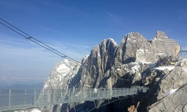 Cây cầu dành cho người có ‘thần kinh thép’