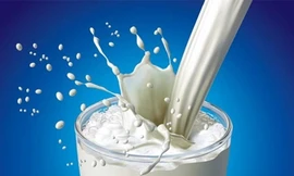 Bộ Y tế bãi bỏ khái niệm 'sữa tiệt trùng'