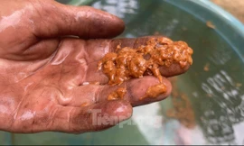 Người dân 'kêu trời' vì ô nhiễm từ nhà máy chế biến mủ cao su 