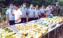 Số ma túy được các đối tượng ngụy trang rất tinh vi trong 5 pho tượng gỗ, có cài định vị nhưng không thể qua mắt Hải quan 