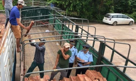 Nhiều quy định kiểm tra chuyên ngành tạo ra gánh nặng cho DN. Trong ảnh, cơ quan chức năng kiểm tra sản phẩm gỗ. Ảnh: Tuấn Nguyễn