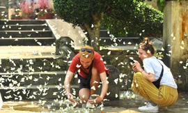 Nhân viên cung cấp thức ăn cho đàn voọc 