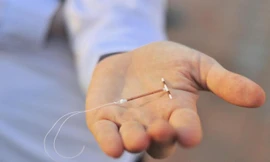 Sex thời dịch dã