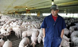 Một nông dân nuôi lợn ở Iowa, Mỹ 