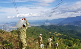 Nhân viên ngành điện tham gia chống cháy rừng