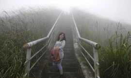 Tràng lau tại đường tuần tra hút khách. Ảnh: Nguyễn Dương