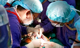 Bác sĩ BV Việt Đức ghép tạng từ người cho chết não 