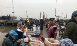 Ngư dân và thương lái bán cá tại Cảng cá Lạch Hới