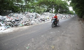 Rác chất đống, bốc mùi hôi thối dài hơn 1km đường Tân Mỹ (Nam Từ Liêm, Hà Nội)