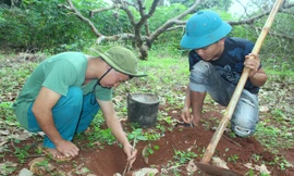 Anh Tuấn dùng một cành củi nhỏ chọc vào hang bọ cạp 
