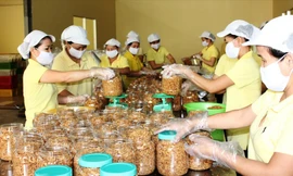 Bán hàng trên kênh thương mại điện tử là con đường ngắn nhất để đưa sản phẩm xuất khẩu