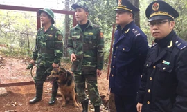 Thắt chặt biên giới, phòng chống buôn lậu. Ảnh: Duy Chiến