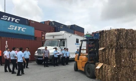 Hải quan kiểm tra container phế liệu tại Cảng Hải Phòng. ảnh: N.T