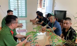 Cảnh sát làm việc với nhóm lừa bán hoa lan tại Hòa Bình. Ảnh: Công an tỉnh Hòa Bình