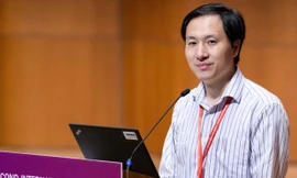 Hạ Kiến Khuê. Ảnh: Getty Images 