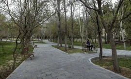 Người đàn ông ngồi một mình trong công viên ở Tehran, Iran, ngày 18/3. Ảnh: AP 