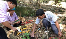 Anh A Điện Trung xã Ngọc Lây với vườn sâm trên núi Ngọc Linh ở độ cao 2.000m và cây sâm quý 5 năm tuổi được trả 150 triệu. Ảnh: KH