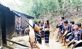 Đoàn nhà trai đưa con đi ở rể