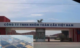 Công ty TNHH Nhôm Toàn Cầu tại tỉnh Bà Rịa - Vũng Tàu bị KTNN đề nghị Cục Cảnh sát điều tra tội phạm về tham nhũng, kinh tế và buôn lậu điều tra dấu hiệu sai phạm.