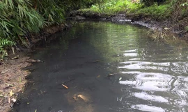 Truy tìm thủ phạm đổ trộm dầu thải gây ra sự cố nước sạch sông Đà 