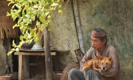 Nhân vật lão Hạc trong Cậu Vàng bị cho là đẫy đà một cách vô lý so với hoàn cảnh 