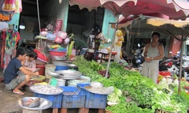 Rau xanh, thực phẩm ở TPHCM vẫn giữ giá... như Tết