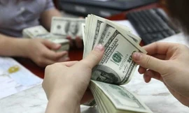 USD có thể suy yếu trong năm 2019