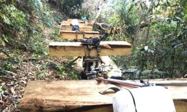 Kon Tum: Giám đốc công ty khai thác sâm đe dọa phóng viên