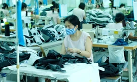 Doanh nghiệp mong ngóng chính sách hỗ trợ để phát triển. Ảnh Hoàng Mạnh Thắng 