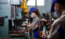 DN là nơi tạo ra sinh kế cho người dân và tạo động lực cho nền kinh tế 